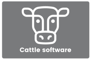 Cattle software icon