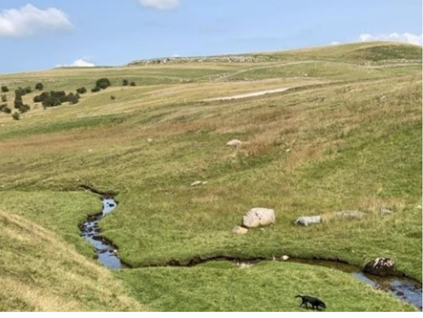Green Hills Image