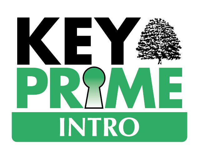 KEYPrime Intro Lage Image