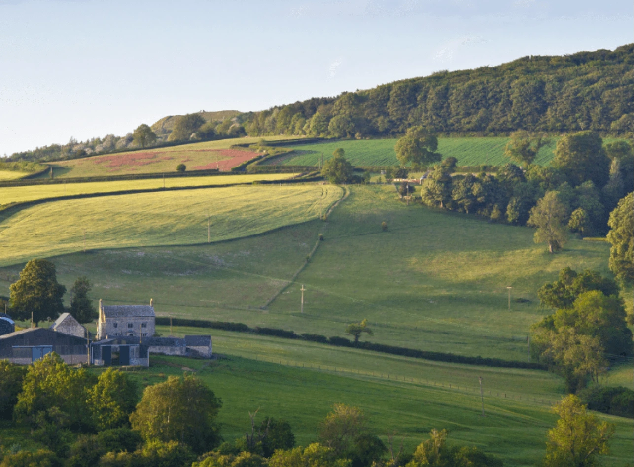Farm landscape image